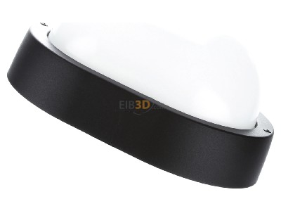 Ansicht oben hinten Performance in Light EKO 19 E27 750 sw Wandleuchte 