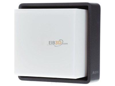 Frontansicht Steinel L 845 SC mit BWM Sensor-LED-Au�enleuchte 