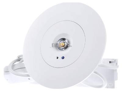Frontansicht Zumtobel IRIS ANTIP #96635650 Notlicht-Downlight IRIS ANTIP 96635650