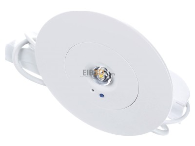 Ansicht oben vorne Zumtobel IRIS ANTIP #96635650 Notlicht-Downlight IRIS ANTIP 96635650