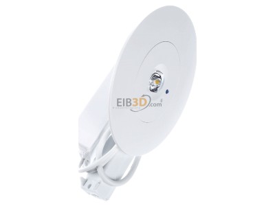 Ansicht oben links Zumtobel IRIS ANTIP #96635650 Notlicht-Downlight IRIS ANTIP 96635650