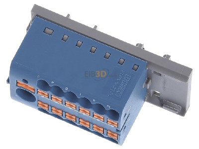 Ansicht oben vorne Phoenix PTFIX6/12X2,5-NS35BU Verteilerblock 0,14-4qmm, blau 