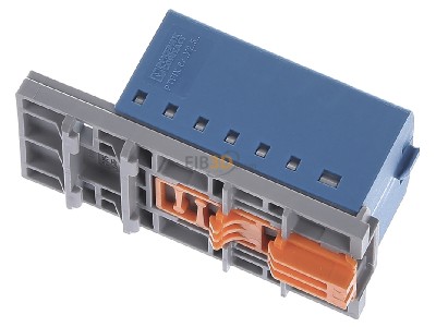 Ansicht oben hinten Phoenix PTFIX6/12X2,5-NS35BU Verteilerblock 0,14-4qmm, blau 