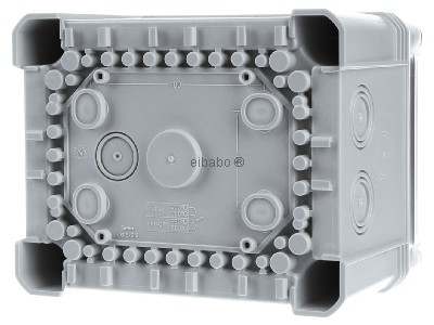 Ansicht hinten OBO X10 R LGR-TR Kabelabzweigkasten m.transp. Deckel 