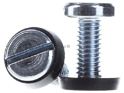 Frontansicht Rittal DK 7094.110 (VE50) Schlitzschraube M6x16mm EL 7094.110 (Inhalt: 50)