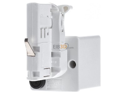 Ansicht hinten SG Leuchten 312424 Steckdose 