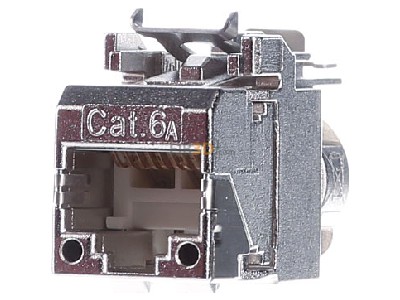 Frontansicht Telegrtner J00029A6000 AMJ-SL Modul Cat.6A, T568A 