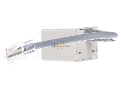 View on the right Metz Connect WE 8-2xWE T8 0,1m Adapter RJ45 8(8) / 2x RJ45 8(8) 
