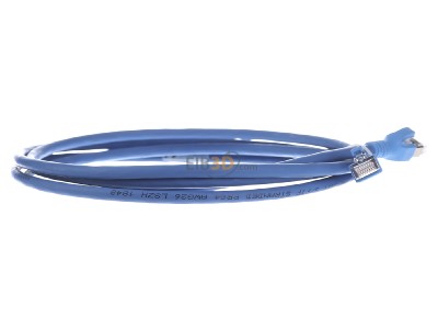 View on the left CommScope/AMP Netconn TN-6000A bl 2,0m RJ45 8(8) Patch cord 6A (IEC) 2m 
