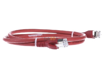 View on the left CommScope/AMP Netconn TN-6000A rt 1,0m RJ45 8(8) Patch cord 6A (IEC) 1m 

