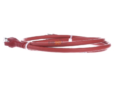 View on the right CommScope/AMP Netconn TN-6000A rt 1,0m RJ45 8(8) Patch cord 6A (IEC) 1m 

