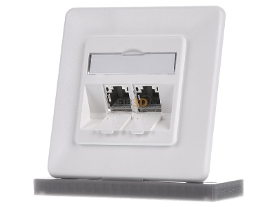 Frontansicht Metz TN E-DATmod-2UP-rws Anschlussdose, Cat.6A 2xRJ45,UP,rws 