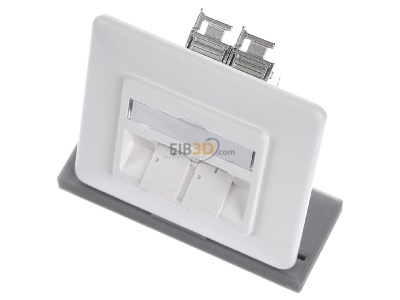 Ansicht oben vorne Metz TN E-DATmod-2UP-rws Anschlussdose, Cat.6A 2xRJ45,UP,rws 