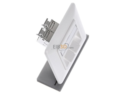 Ansicht oben links Metz TN E-DATmod-2UP-rws Anschlussdose, Cat.6A 2xRJ45,UP,rws 