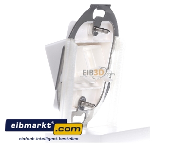 View on the right Reichle&De-Massari R306010 Data outlet white - 
