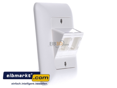 View on the left Reichle&De-Massari R306006 Data outlet white
