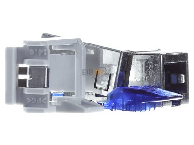 View on the left Reichle & De-Massari R304373 RJ45 8(8) connector 
