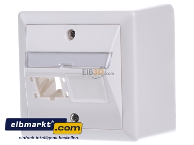 Front view Reichle&De-Massari R310786 Data outlet white
