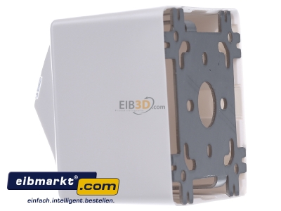 View on the right Reichle&De-Massari R310786 Data outlet white
