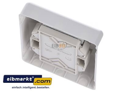 Top rear view Rutenbeck UAE-re.Cat.6-8UAp rw RJ45 8(8) Data outlet Cat.6 white 
