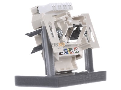 View on the left Rutenbeck UAE-Cat.6Aiso8UUp0mK RJ45 8(8) Data outlet 6A (IEC) white 
