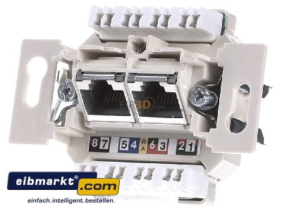 Front view Rutenbeck UAECat6Aiso8/8UUp0mK RJ45 8(8) Data outlet 6A (IEC) white
