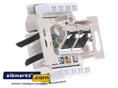 View on the left Rutenbeck UAECat6Aiso8/8UUp0mK RJ45 8(8) Data outlet 6A (IEC) white
