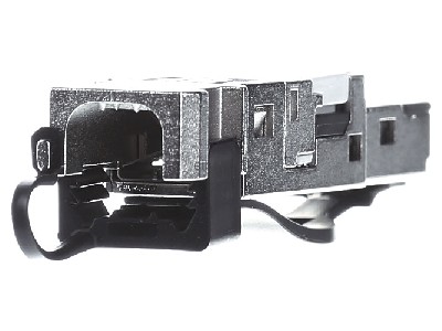 Ansicht hinten Teleg�rtner J80026A0003 STX RJ45 Stecker AWG22-26 Cat.6 sw 