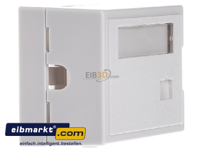 View on the left Telegrtner H02000A0071 Data outlet white 
