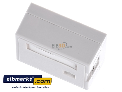 View up front Telegrtner H02000A0071 Data outlet white 
