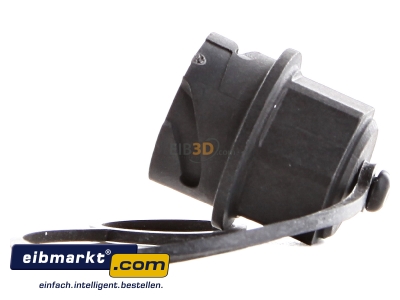 View on the right Telegrtner H80030A0000 Dust shield for plug connections black
