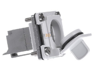 View on the left Telegrtner J00020A0483 Modular jack 
