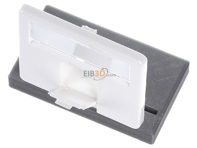 View up front Telegrtner F00020A0123 Central cover plate 
