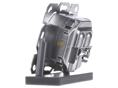 View on the right Telegrtner J00020A0388 2x RJ45 8(8) Data outlet Cat.5E 
