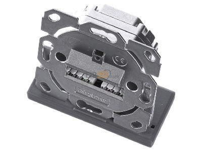 View up front Telegrtner J00020A0388 2x RJ45 8(8) Data outlet Cat.5E 
