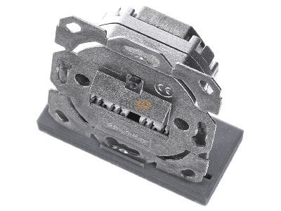 View up front Telegrtner J00020A0395 RJ45 8(8) Data outlet 6A (TIA) 
