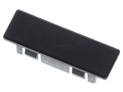 Top rear view Telegrtner B00012A0011 Blind cap for fibre optic technique 
