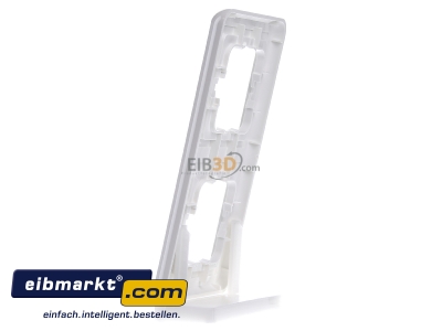 View on the right Telegrtner B00005A0009Y Frame 2-gang white
