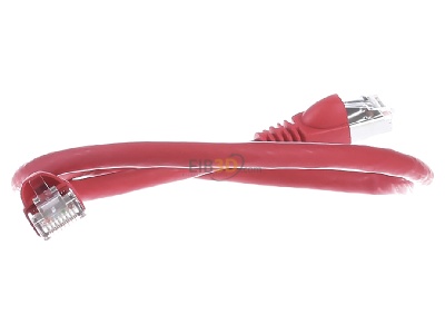 Ansicht links Telegrtner L00000A0074 Patchkabel S/FTP 6A rt 0,5m 1x180Grd 