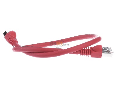 Ansicht hinten Telegrtner L00000A0074 Patchkabel S/FTP 6A rt 0,5m 1x180Grd 