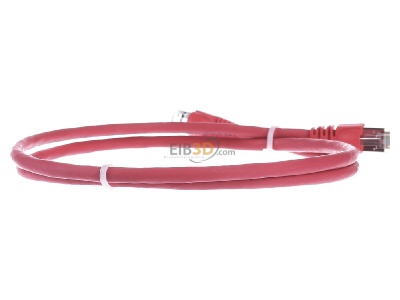 Back view Telegrtner L00000A0083 RJ45 8(8) Patch cord 6A (IEC) 1m 
