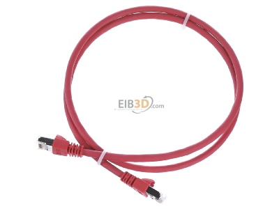 View up front Telegrtner L00000A0083 RJ45 8(8) Patch cord 6A (IEC) 1m 
