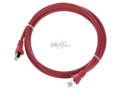 View up front Telegrtner L00001A0086 RJ45 8(8) Patch cord 6A (IEC) 2m 
