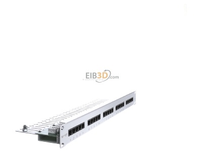 View on the left Telegrtner MPPISDN 25-H kurz Patch panel copper 
