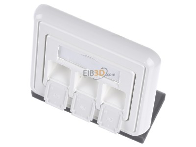 Ansicht oben vorne Telegrtner H02010A0053 Modul-Aufnahme 3-fach 80x80, aws 