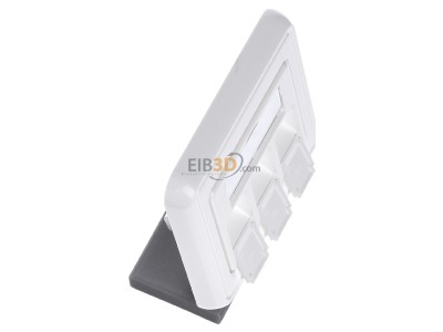 Ansicht oben links Telegrtner H02010A0053 Modul-Aufnahme 3-fach 80x80, aws 