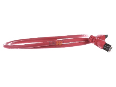Ansicht links Telegrtner L00000A0196 Patchkabel S/FTP 6A rt 1,0m 1x90Grd 