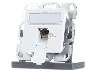 Front view Telegrtner J00020A0505 RJ45 8(8) Data outlet 6A (IEC) white 
