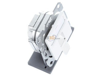 View top left Telegrtner J00020A0505 RJ45 8(8) Data outlet 6A (IEC) white 
