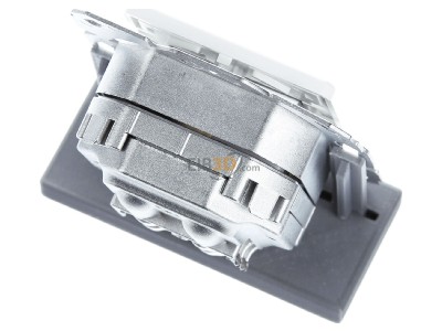 Top rear view Telegrtner J00020A0505 RJ45 8(8) Data outlet 6A (IEC) white 
